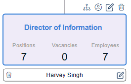 director-information-org-chart
