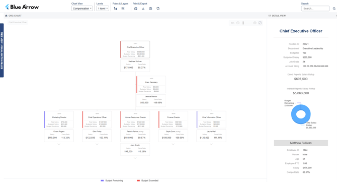 org-chart-compensation-view-1