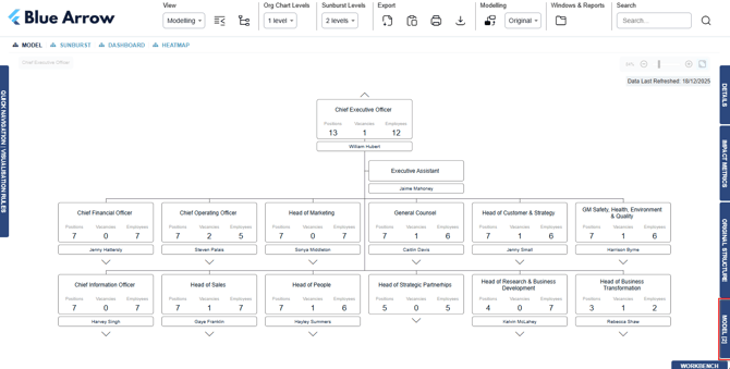 org-chart-structure-hierarchy