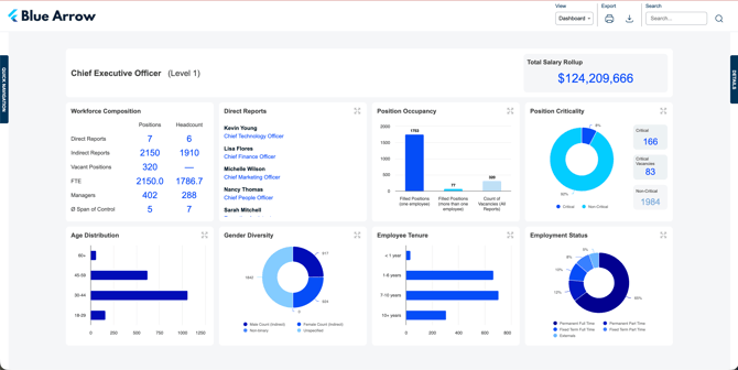 ceo-org-dashboard-overview